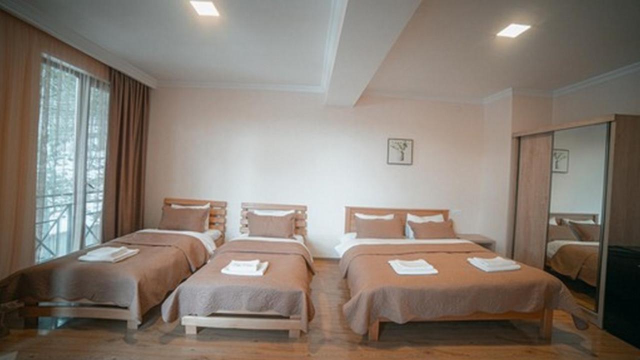 Hotel Surami Ngoại thất bức ảnh
