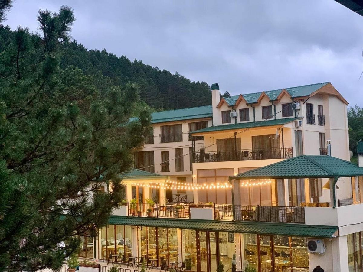 Hotel Surami Ngoại thất bức ảnh